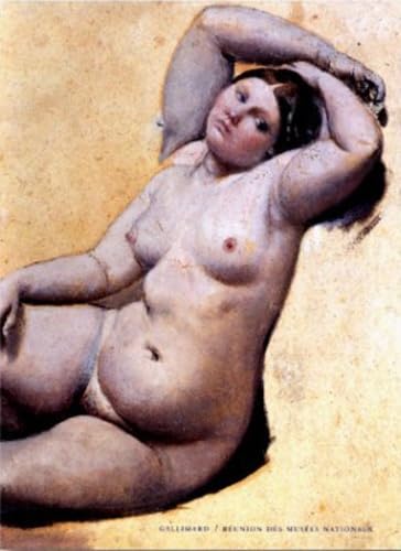 Dessins d'Ingres : catalogue raisonné des dessins du Musée de Montauban Film, Art & Culture
