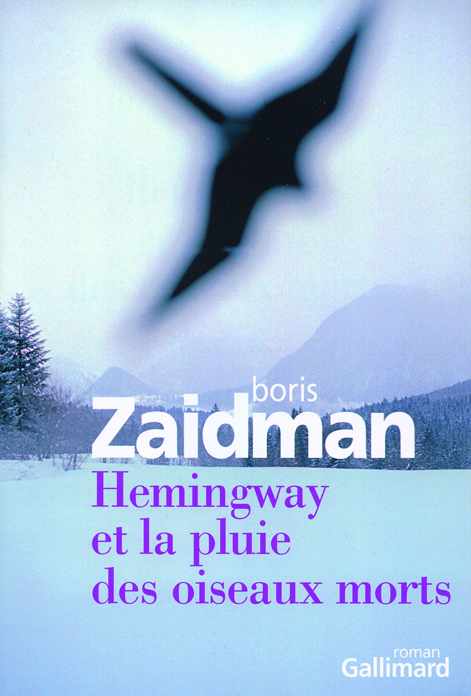 Hemingway et la pluie des oiseaux morts book