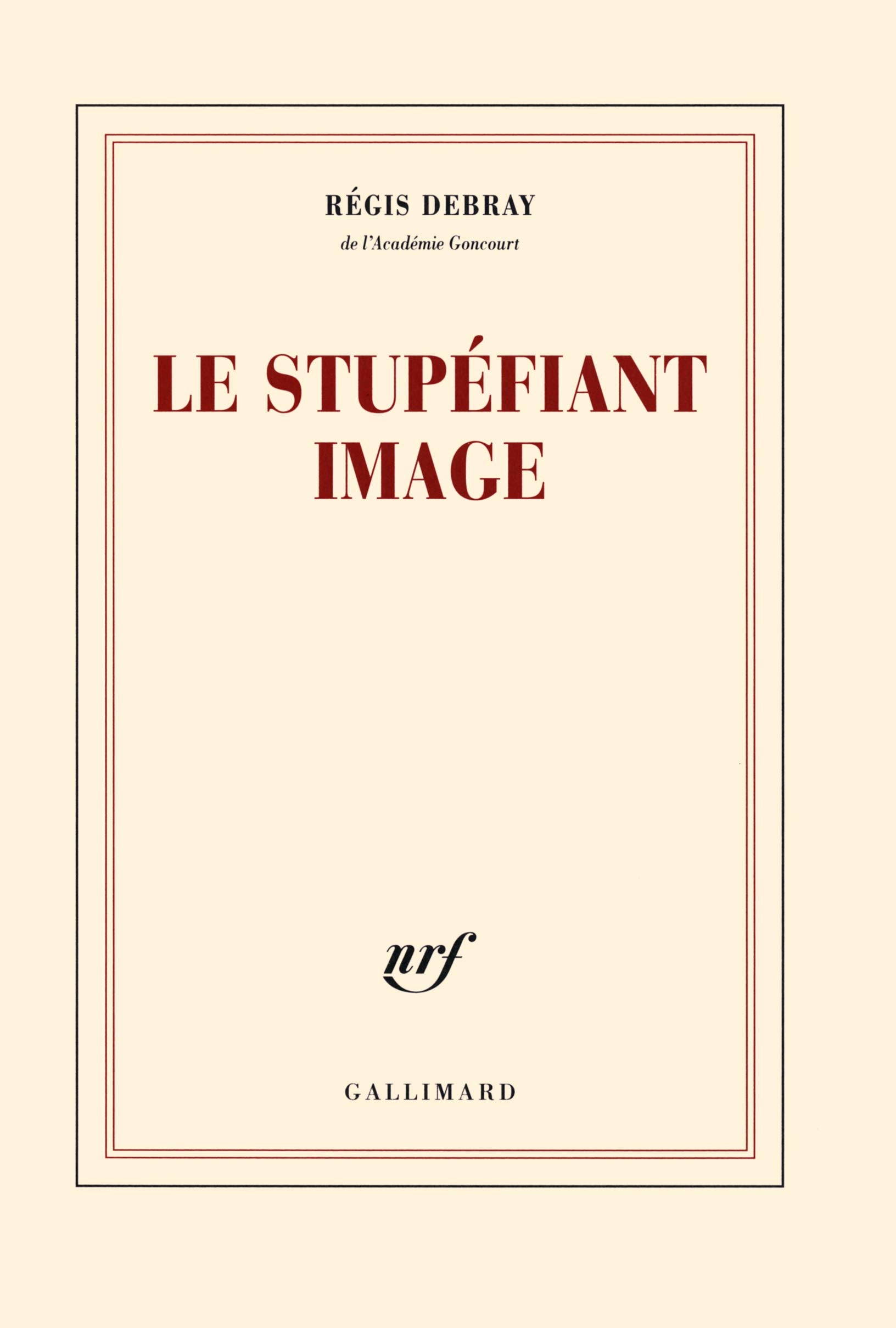 Le stupéfiant image: De la grotte Chauvet au Centre Pompidou book