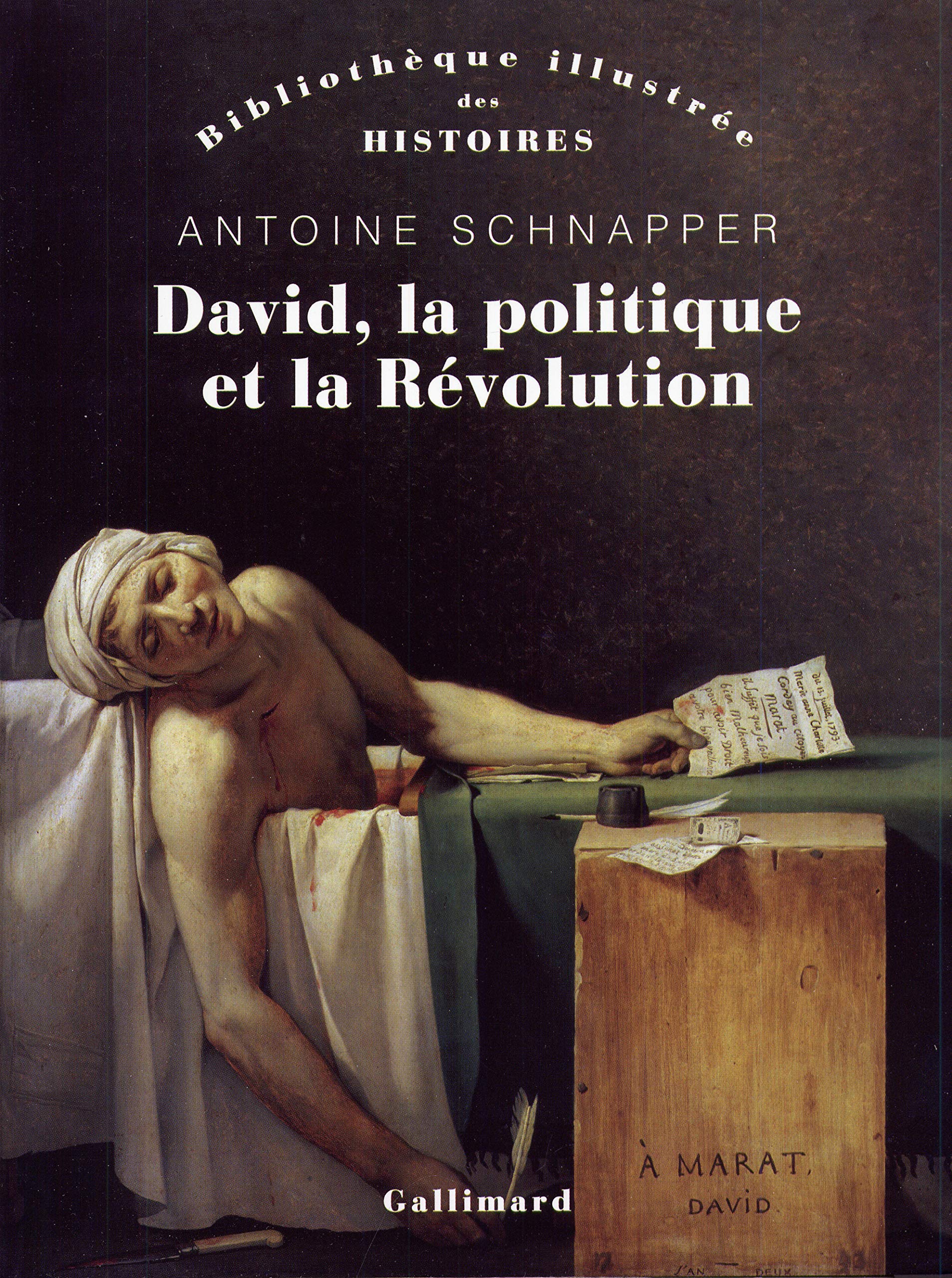 David, la politique et la Révolution book