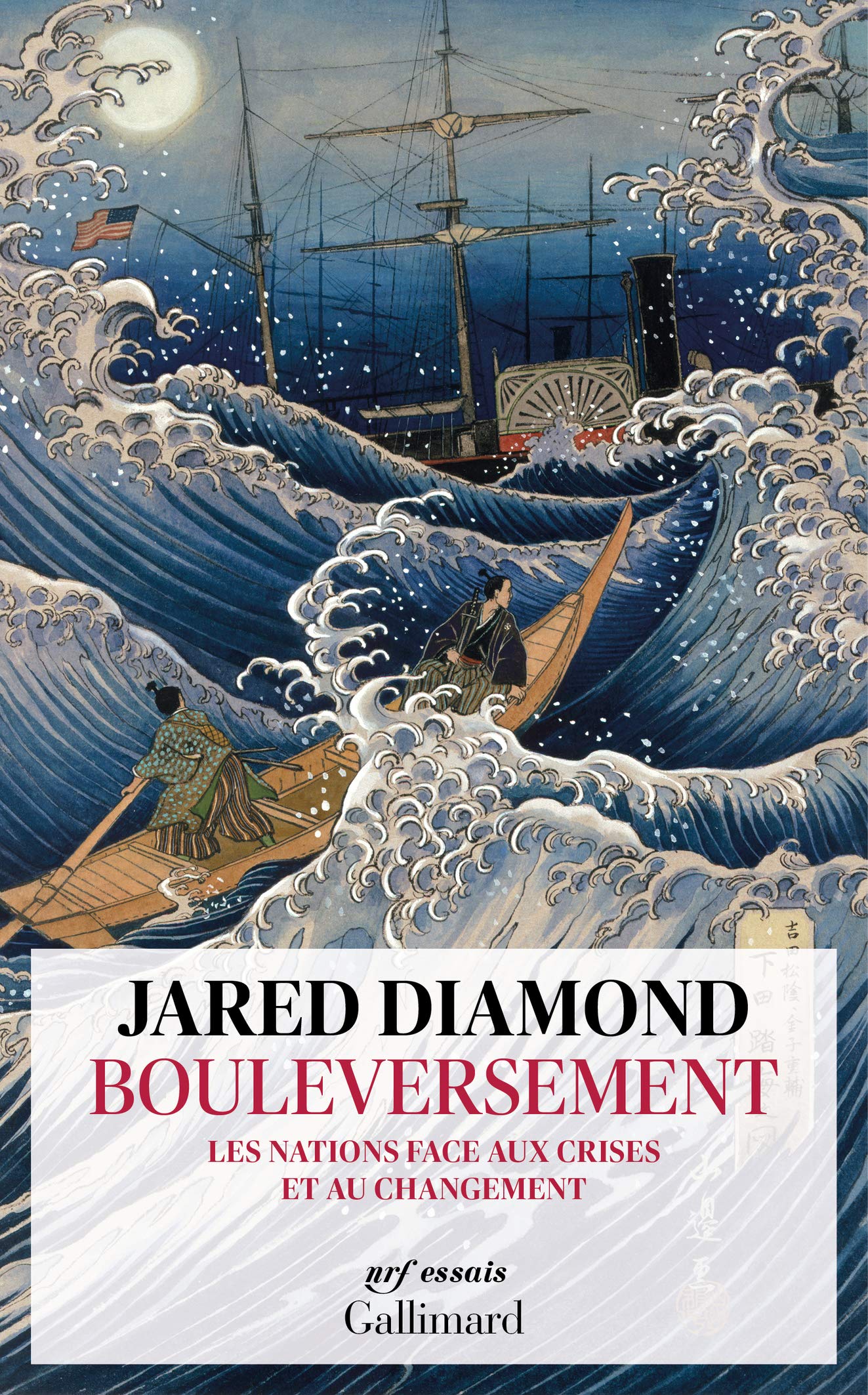 Bouleversement: Les nations face aux crises et au changement Social Sciences