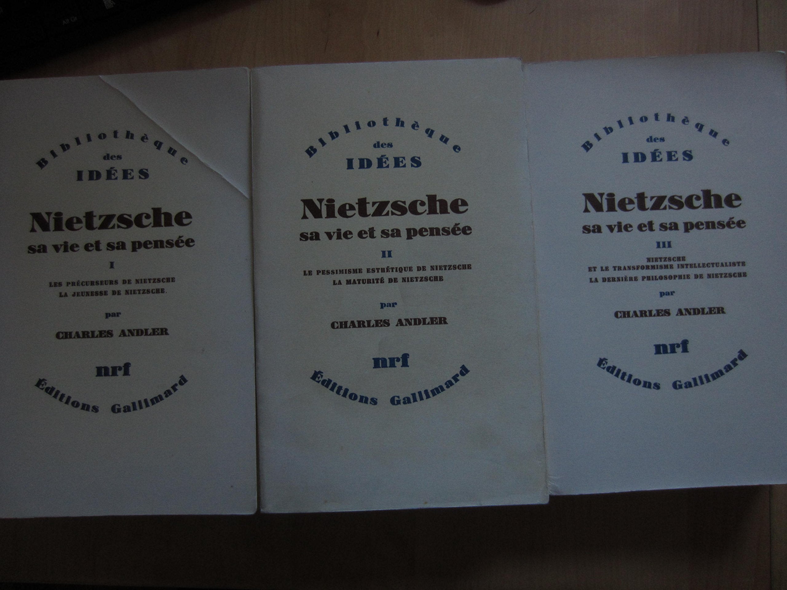 Nietzsche, sa vie et sa pensée, tome 3 book