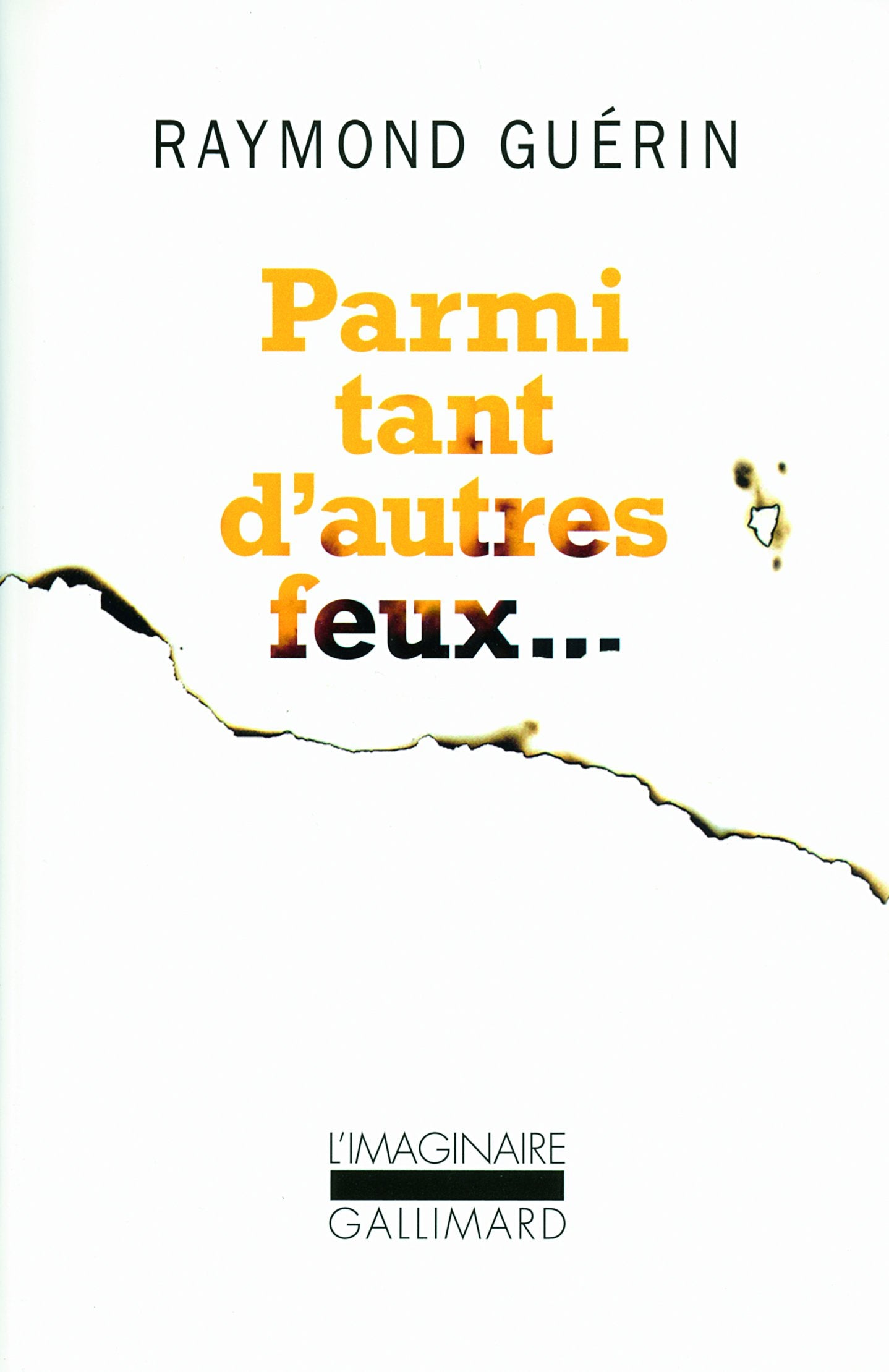 Parmi Tant D'Autres Feux... Contemporary literature