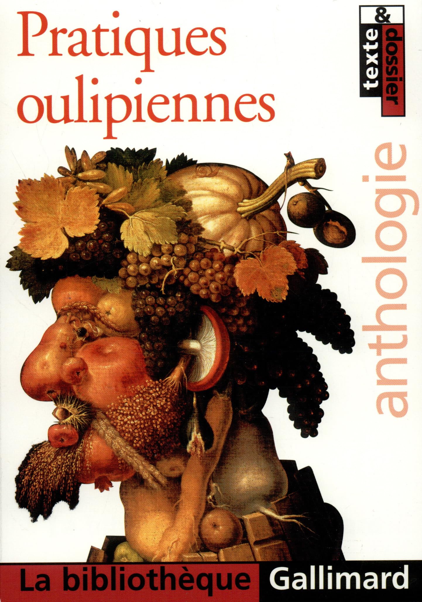 Pratiques oulipiennes book