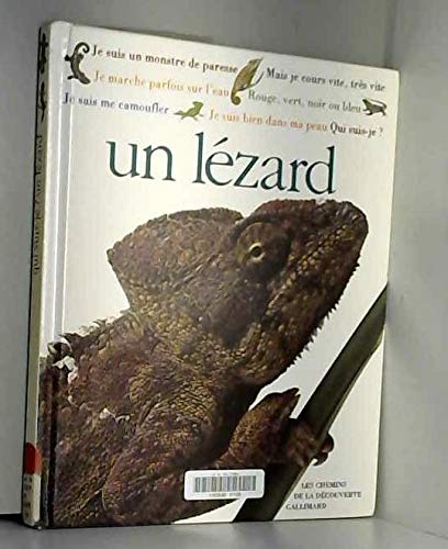 Qui suis-je ? Un lézard Books