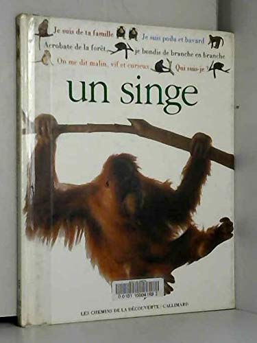 Qui suis je ? un singe 102097 book
