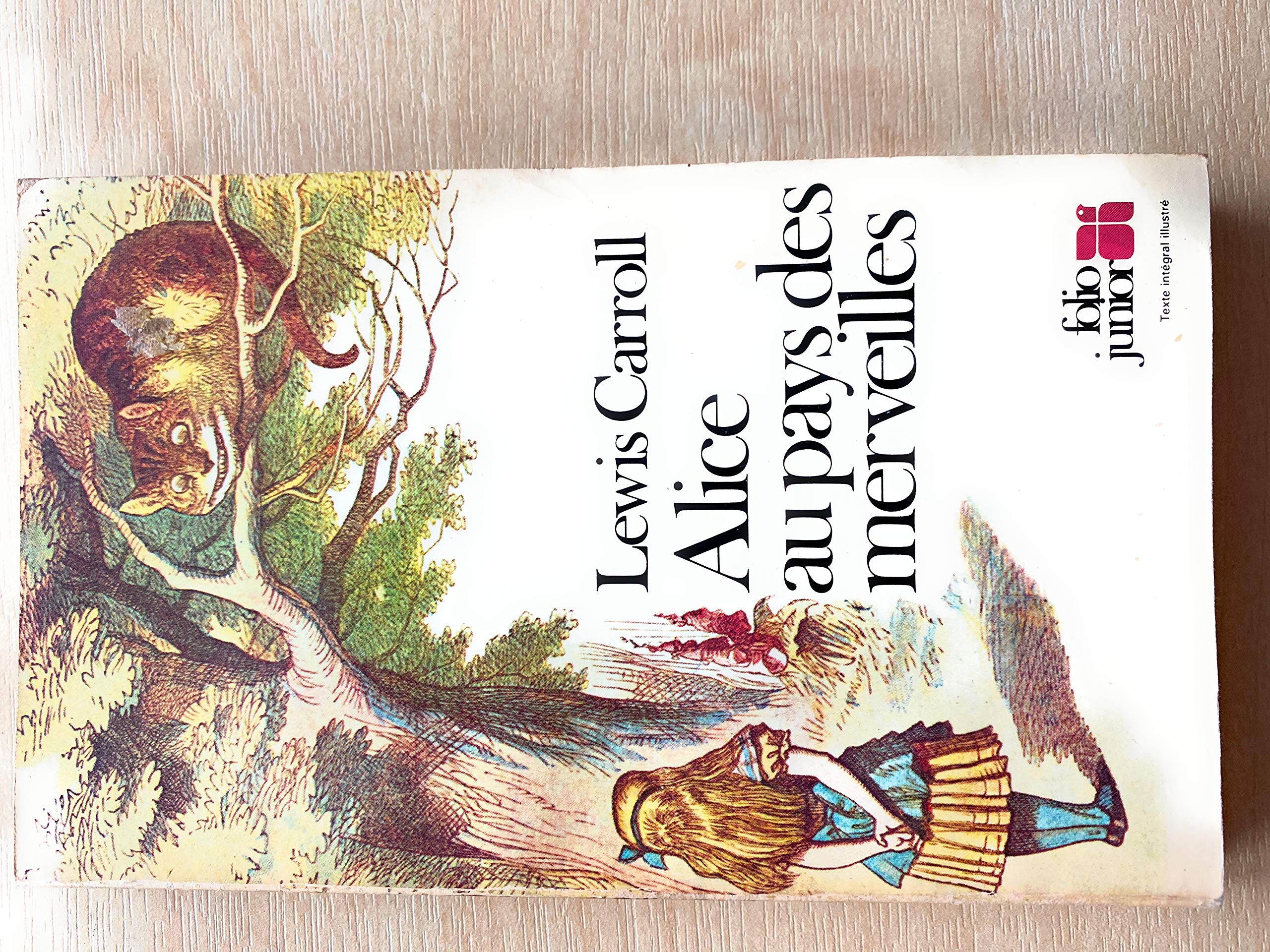 Alice au pays des merveilles book