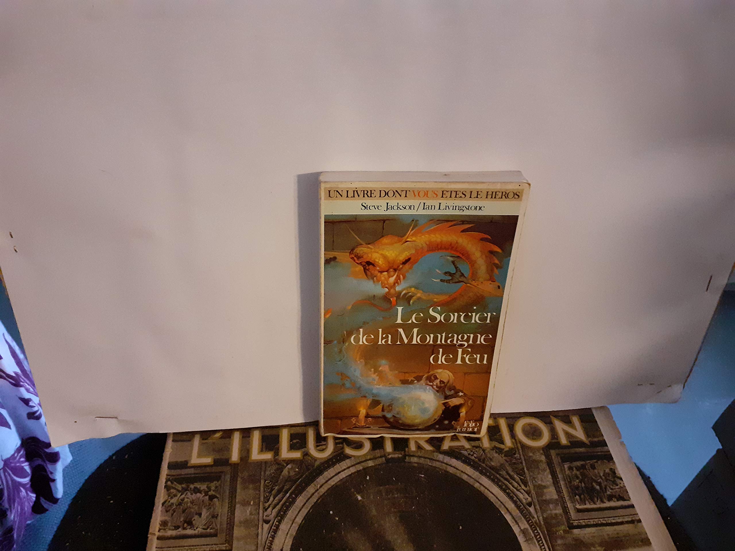 Le Sorcier de la montagne de feu Books