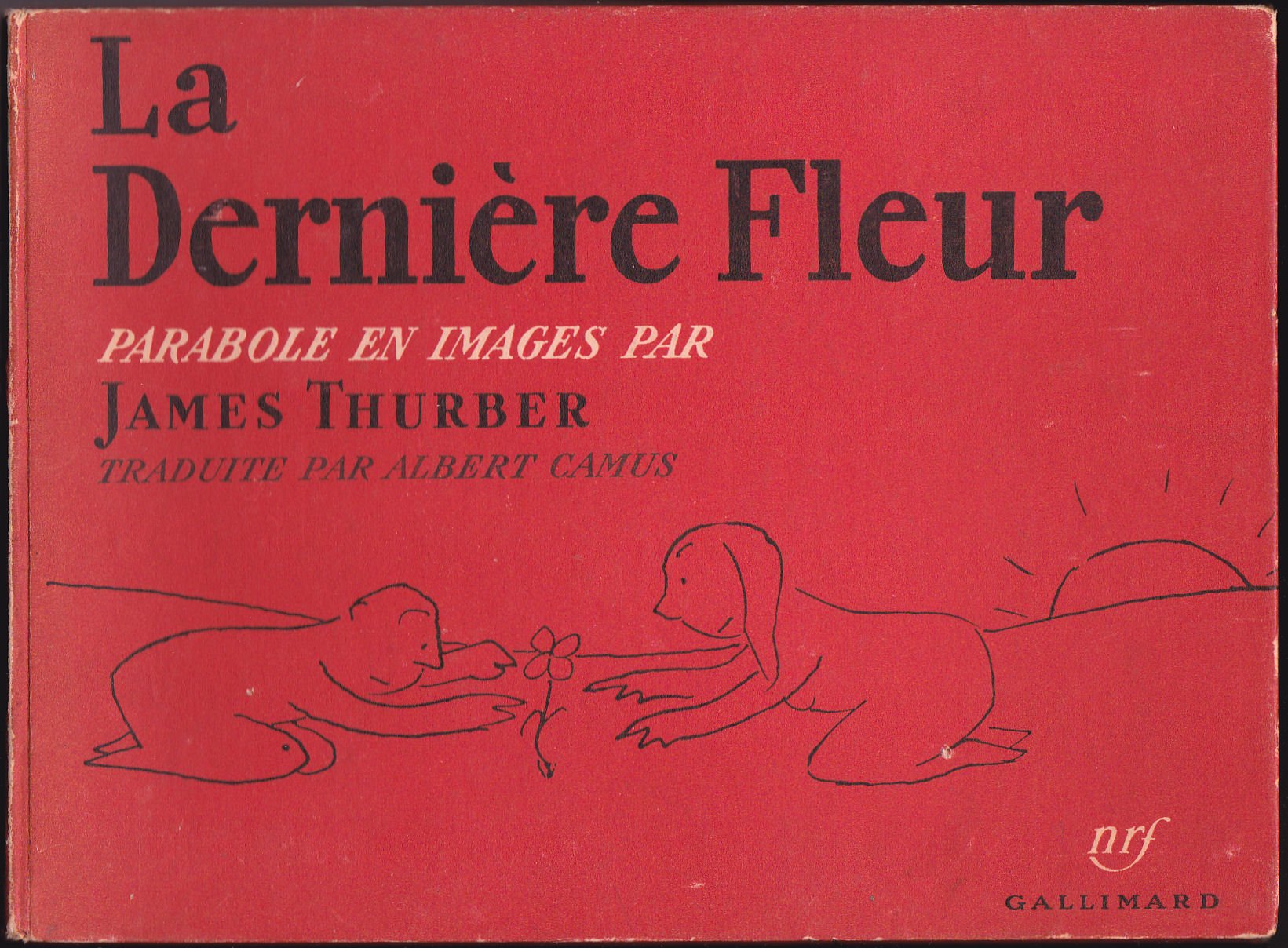 La dernière fleur : parabole en images Books