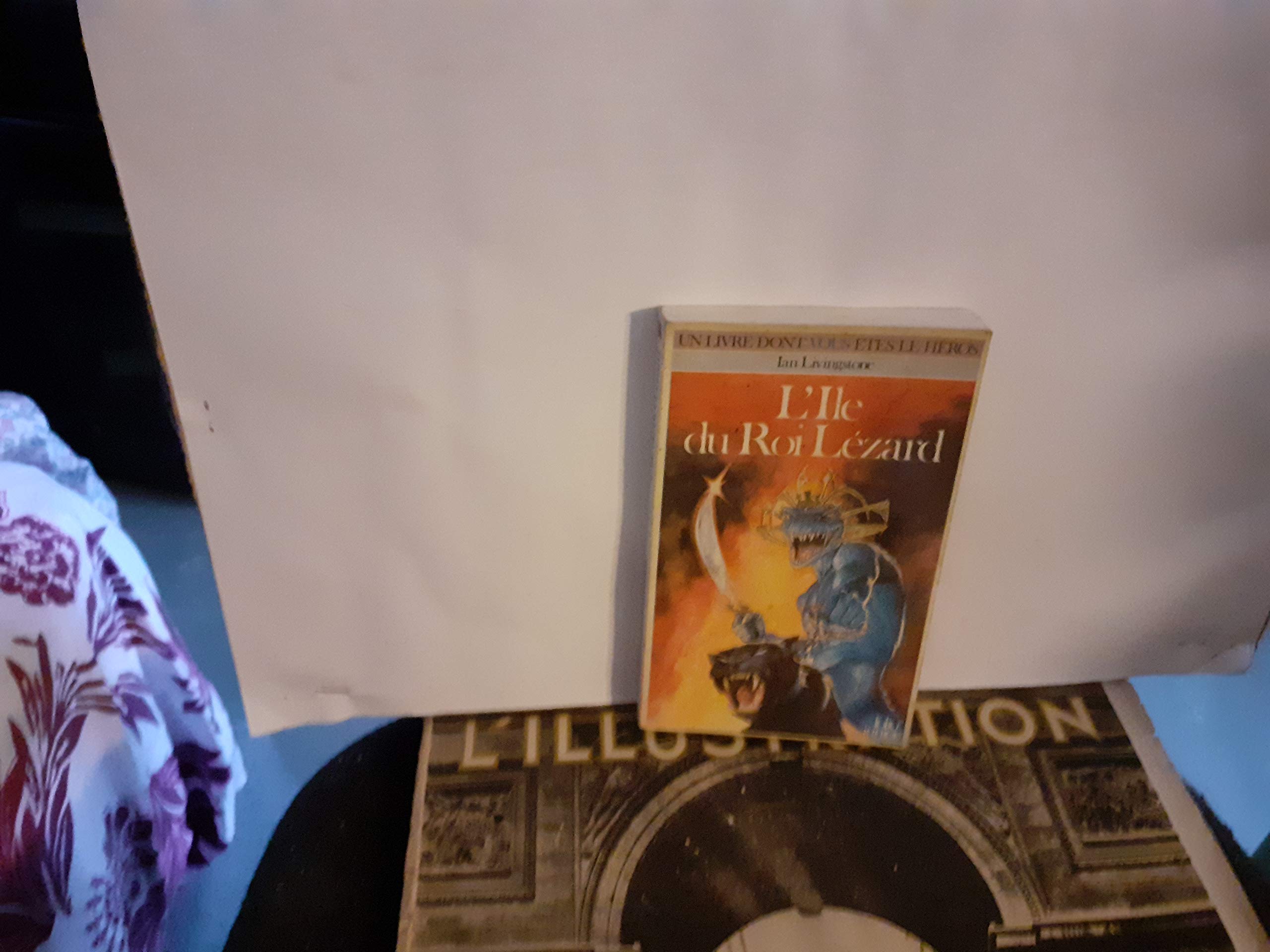 Defis Fantastiques : L'Île Du Roi Lezard Books