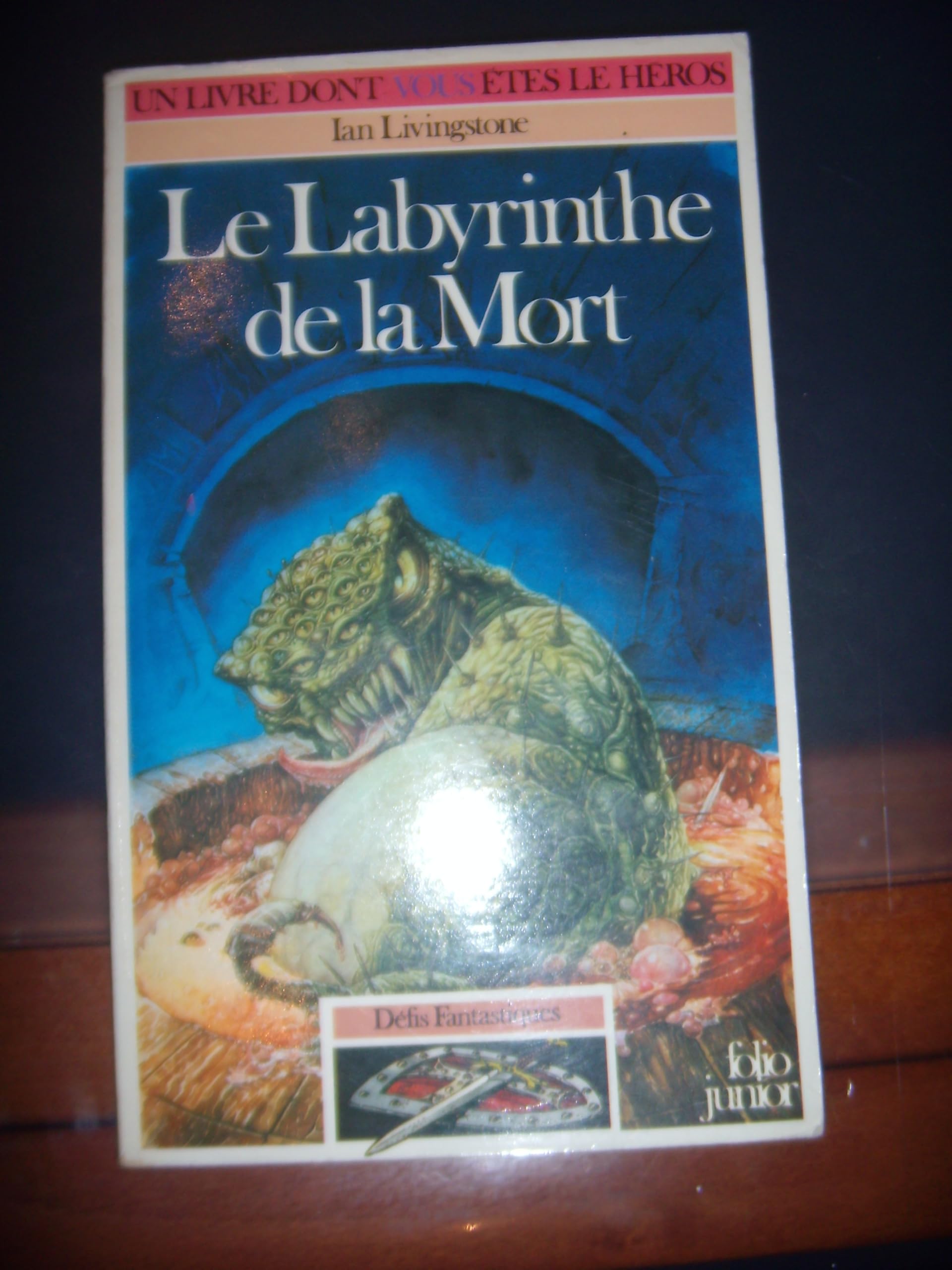 Defis Fantastiques : Le Labyrinthe De La Mort Books