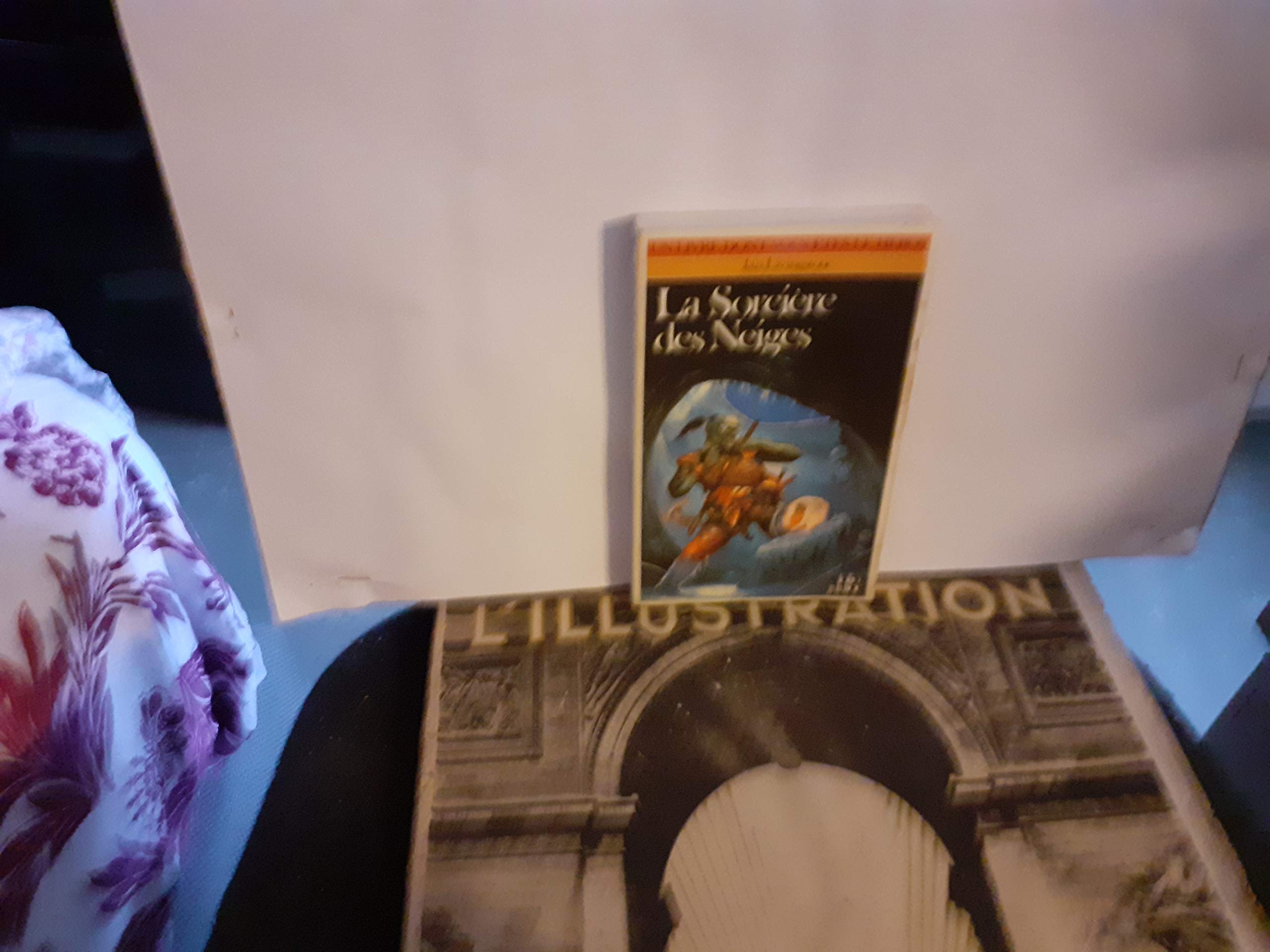 Defis Fantastiques Tome 9 : La Sorciere Des Neiges Books