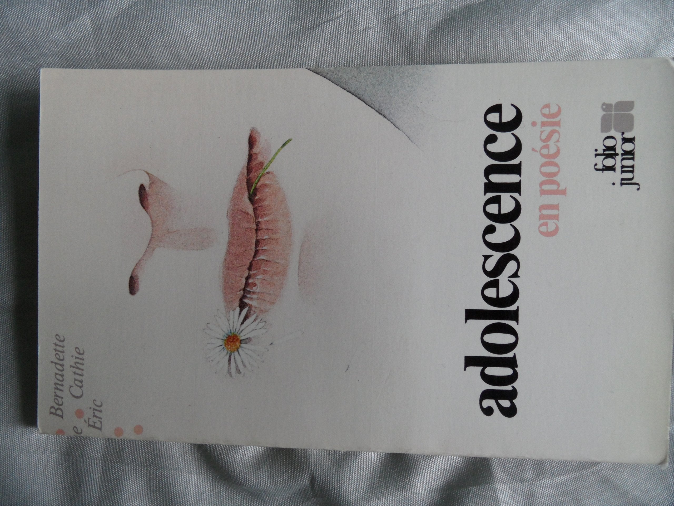 L'Adolescence en poésie Books