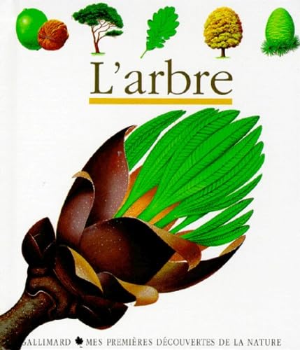 L'Arbre (Mes Premieres Decouvertes) Mathematics