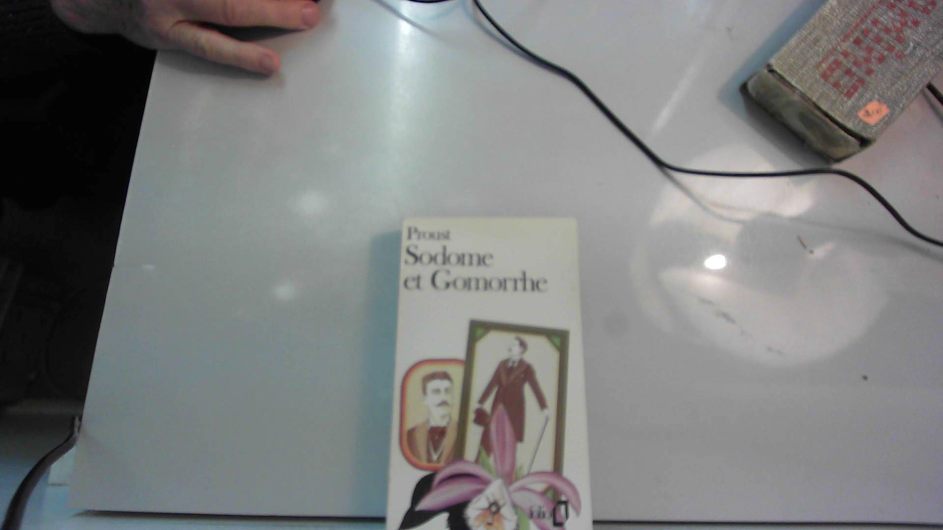 Sodome Et Gomorrhe Contemporary literature Books