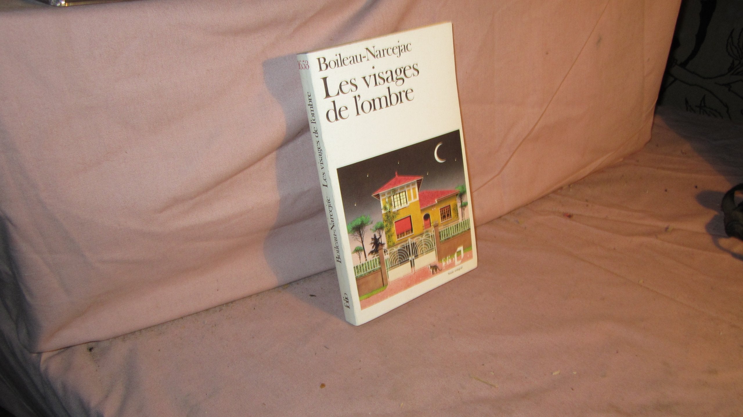 Les Visages de l'ombre Contemporary literature