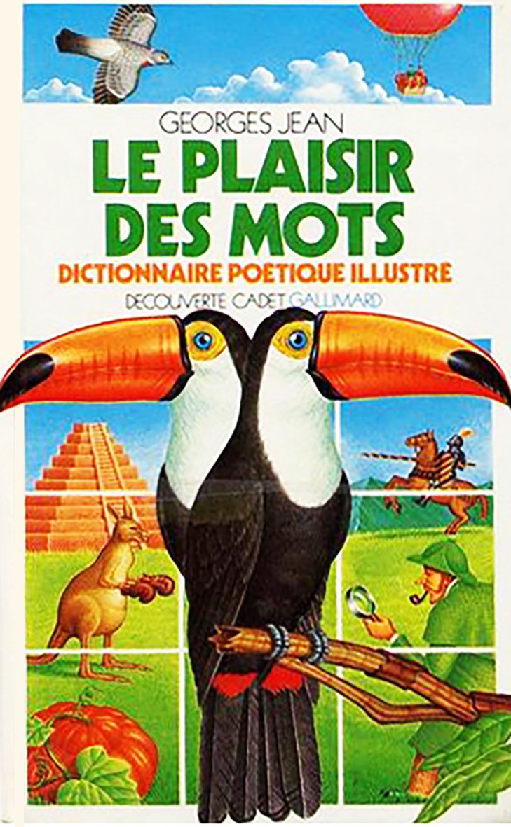 Le Plaisir des mots : dictionnaire Books