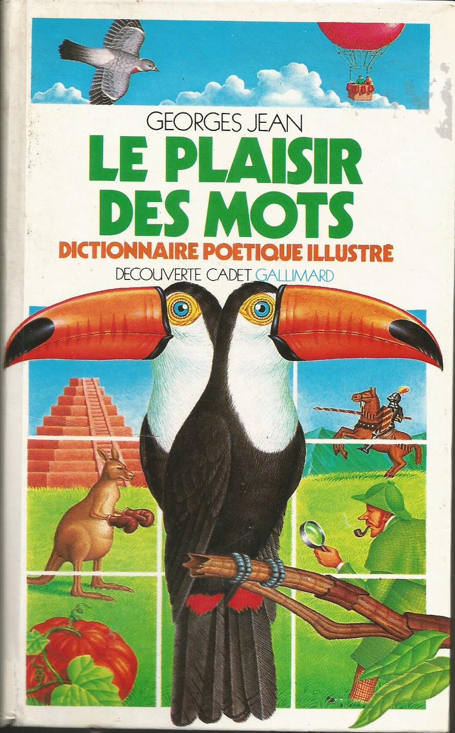 Le Plaisir des mots : dictionnaire Children's books