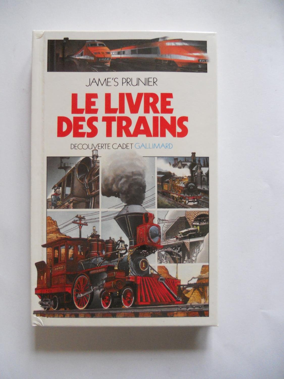 Le livre des trains book