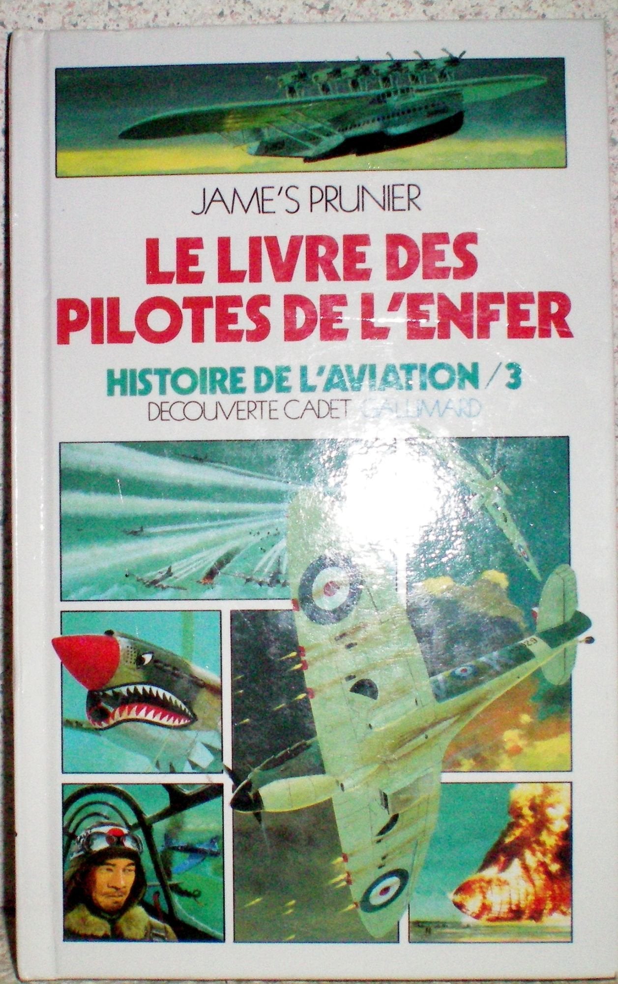 Le livre des pilotes de l'enfer book