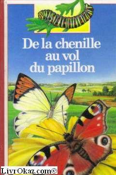 De la chenille au vol du papillon book