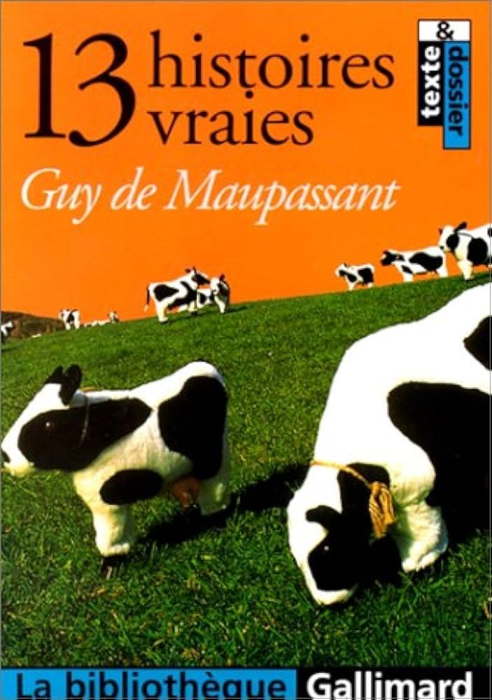 Product Image: 13 HISTOIRES VRAIES