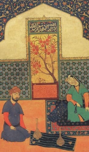 Les mille et une nuits : contes choisis book