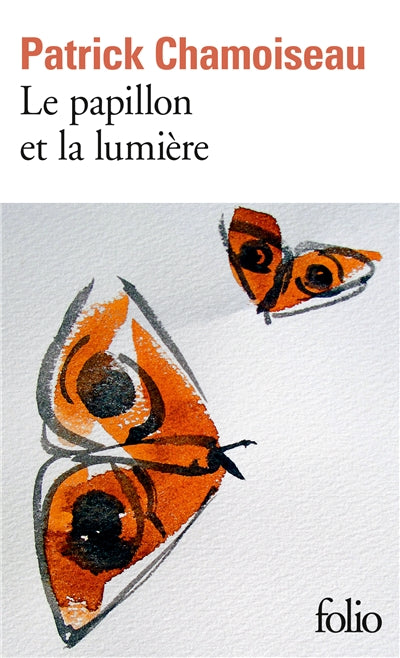 Product Image: Le papillon et la lumière