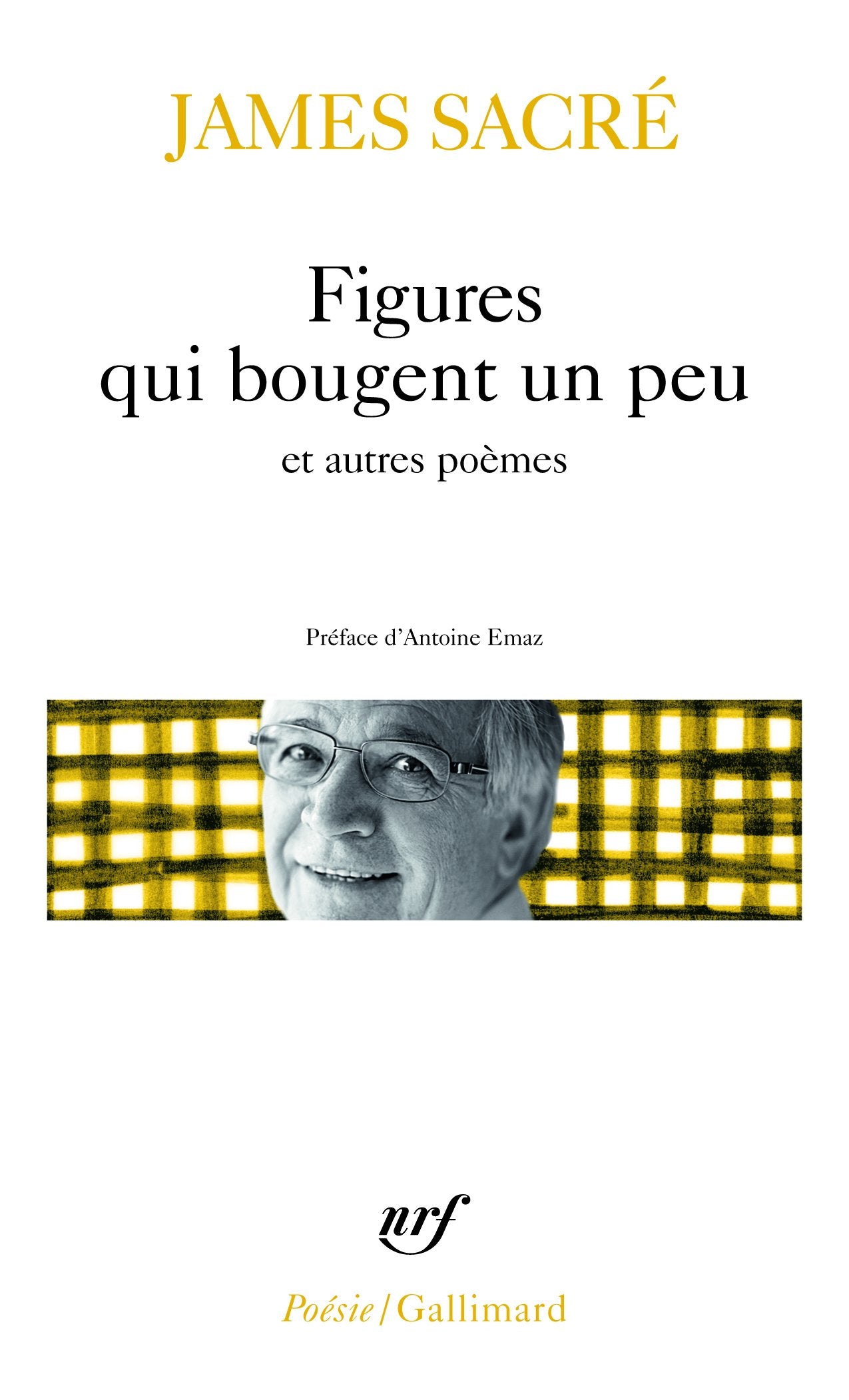 Figures qui bougent un peu et autres poèmes book