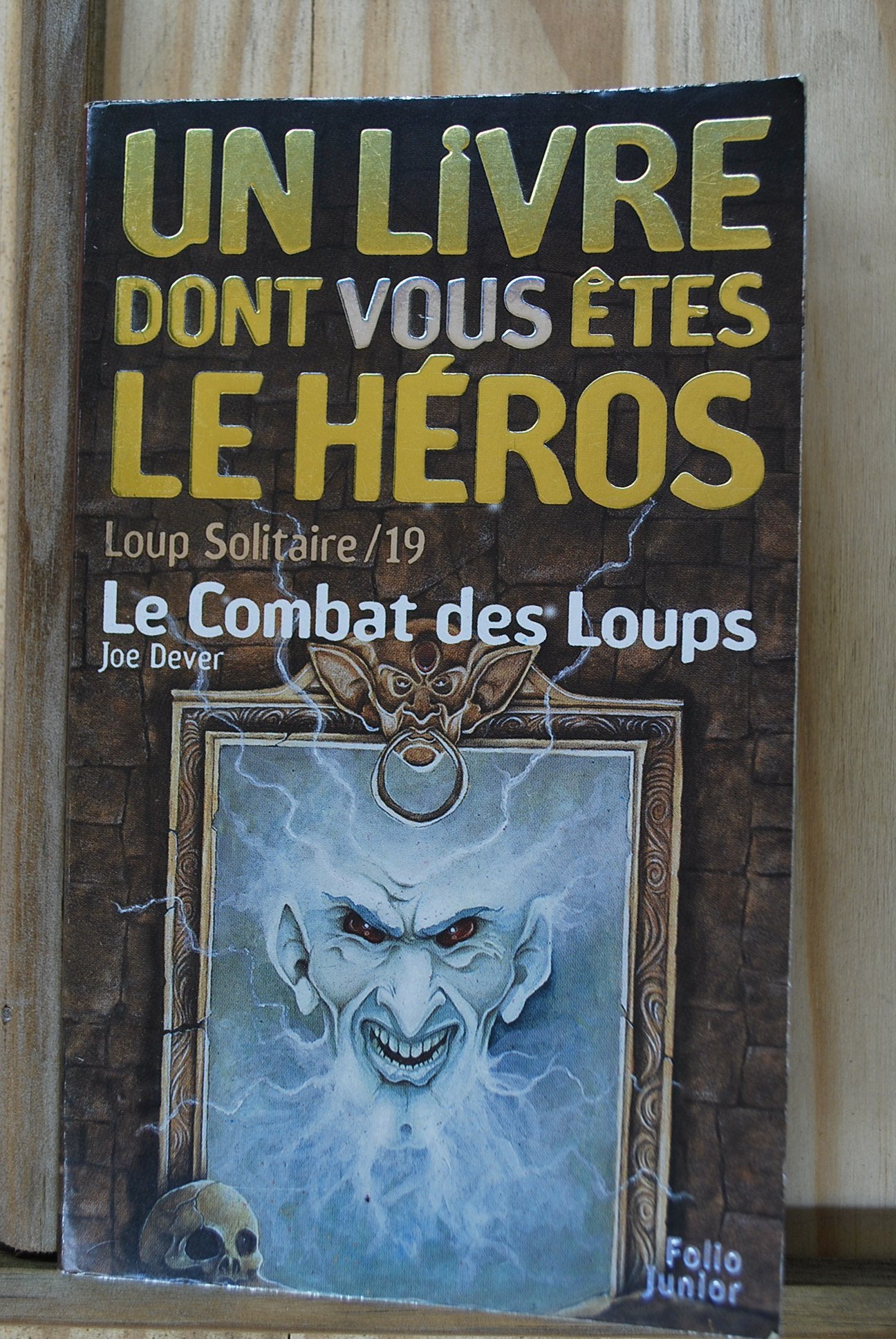 Loup solitaire, numéro 19 : Le Combat des loups book