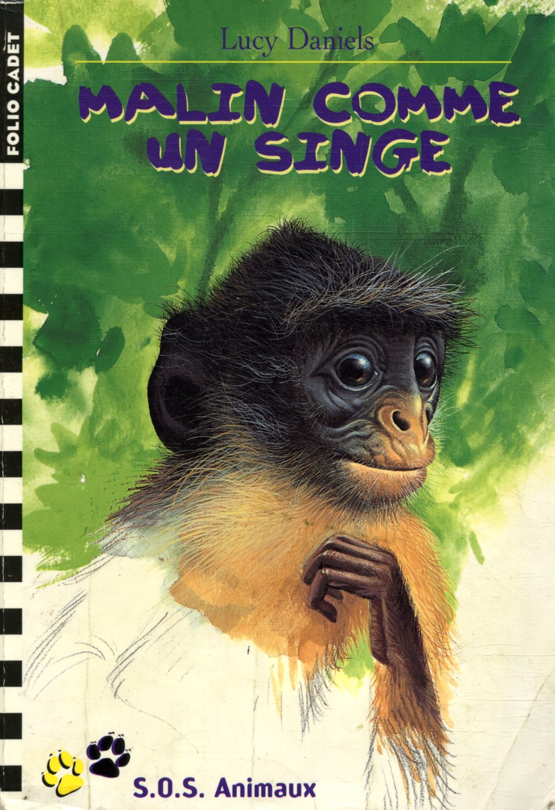 Product Image: Malin comme un singe