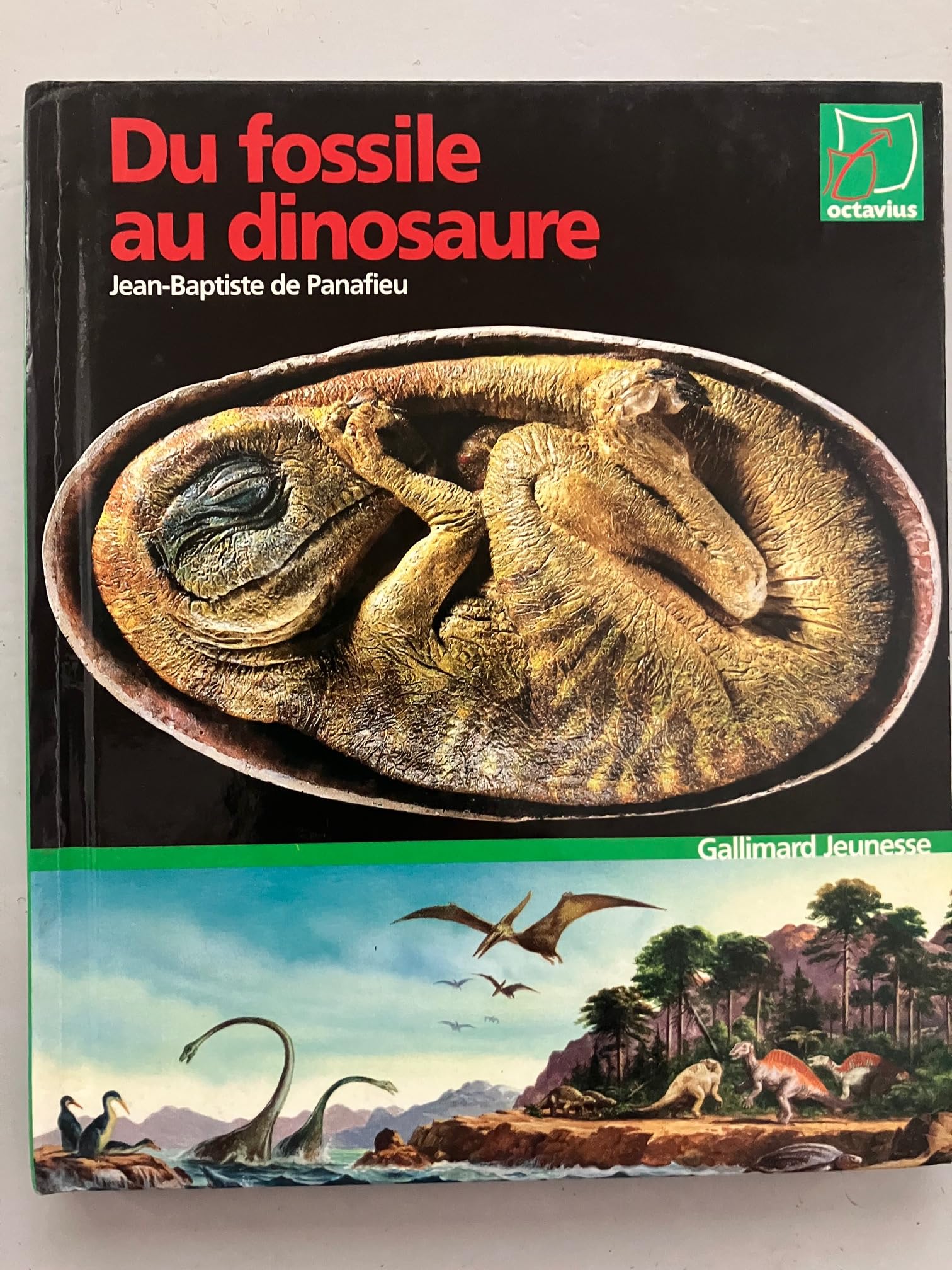 Du fossile au dinosaure book