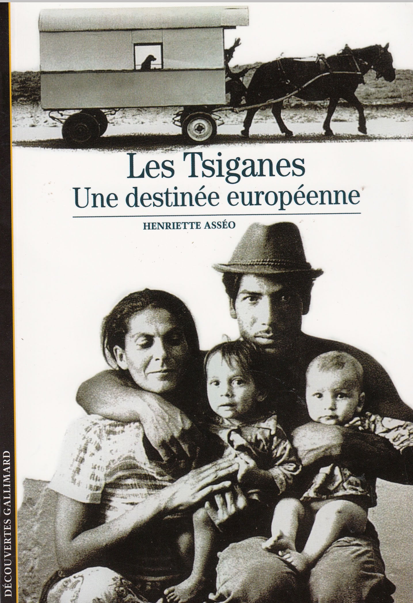 Les Tsiganes; une destinée européenne Reference Books