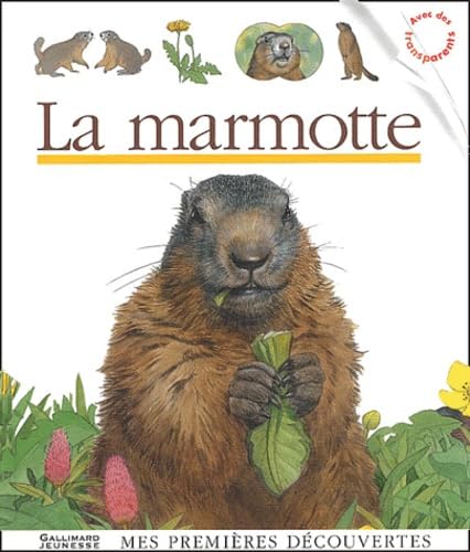 Product Image: La marmotte