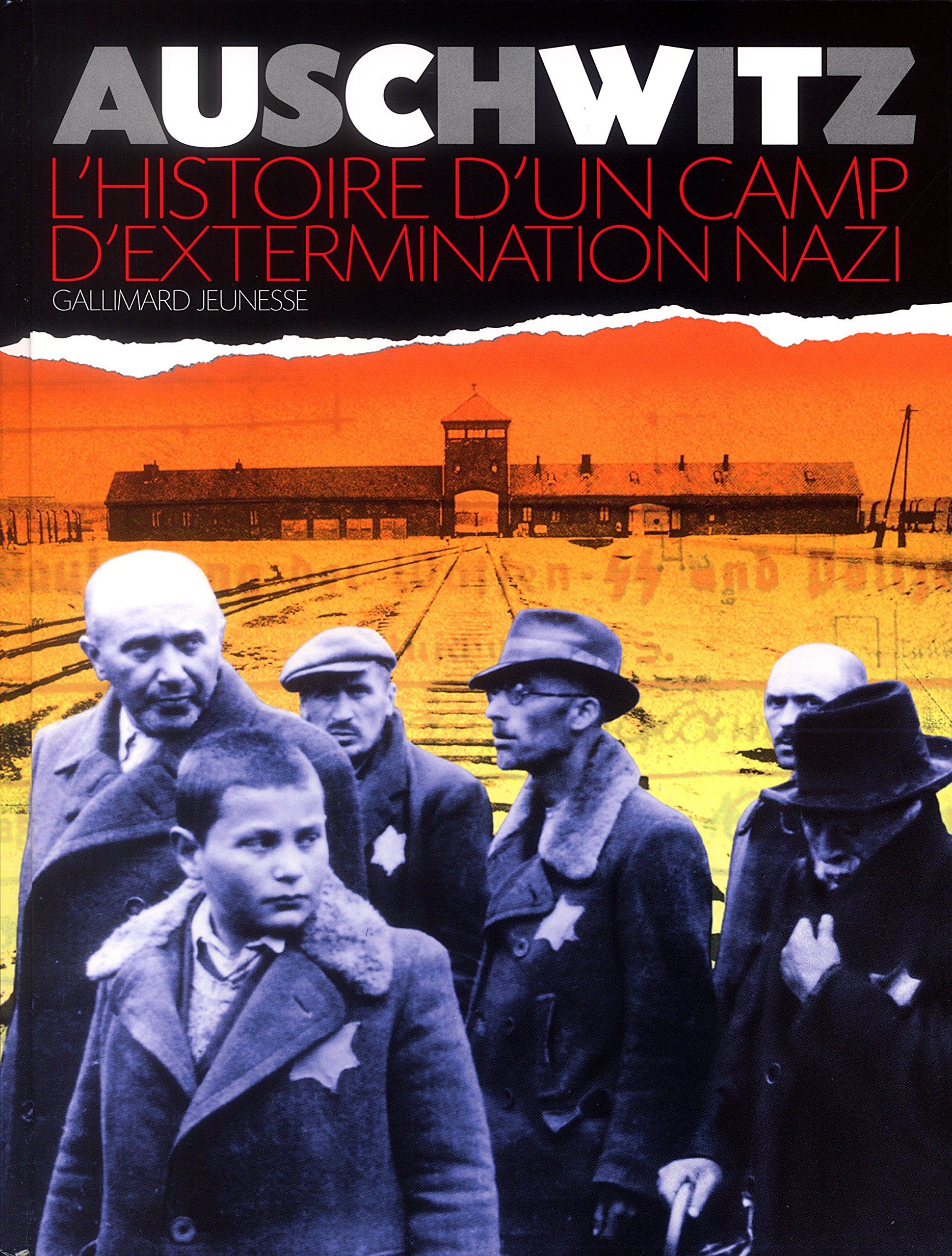 Auschwitz : L'Histoire d'un camp d'extermination nazi book