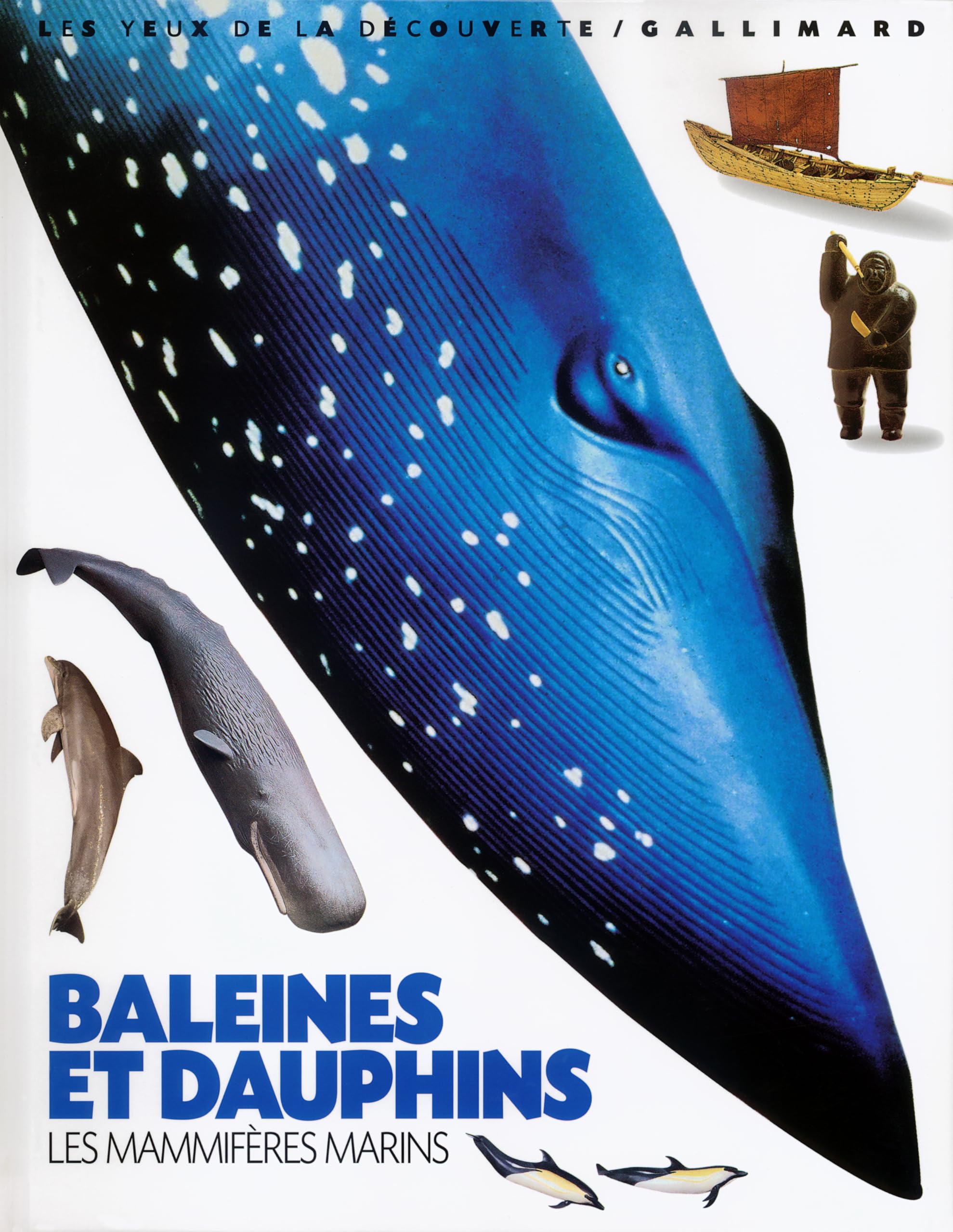 Mammifères marins: LES MAMMIFERES MARINS Children's books