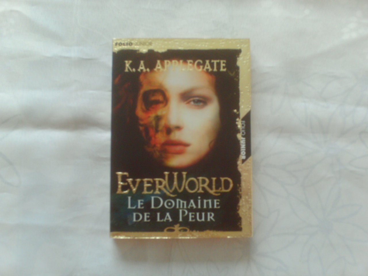 Everworld Tome 4 : Le Domaine De La Peur Books