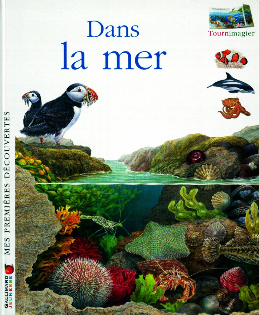 Dans la mer Children's books