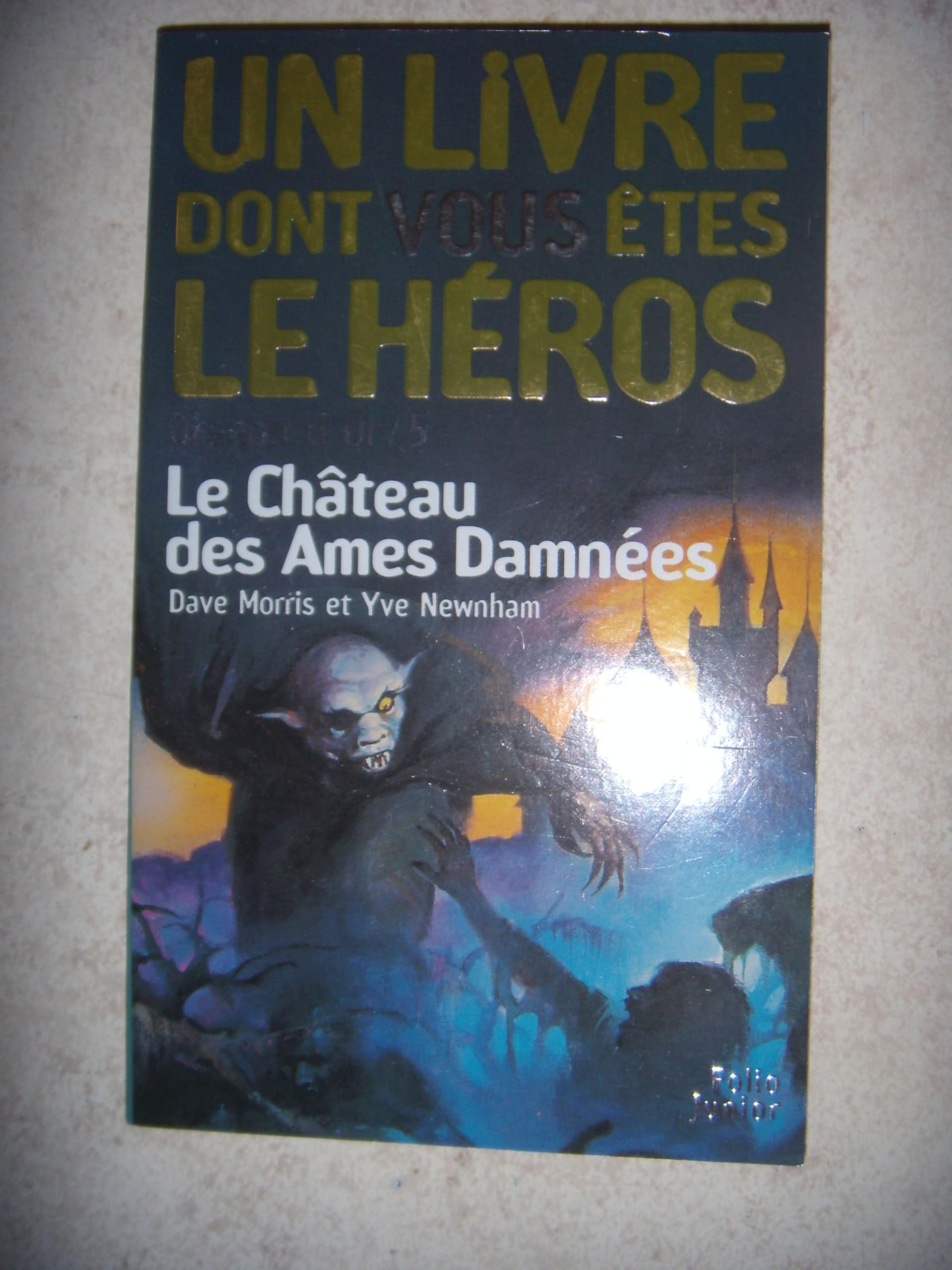 Dragon d'or, numéro 5 : Le Château des âmes damnées book