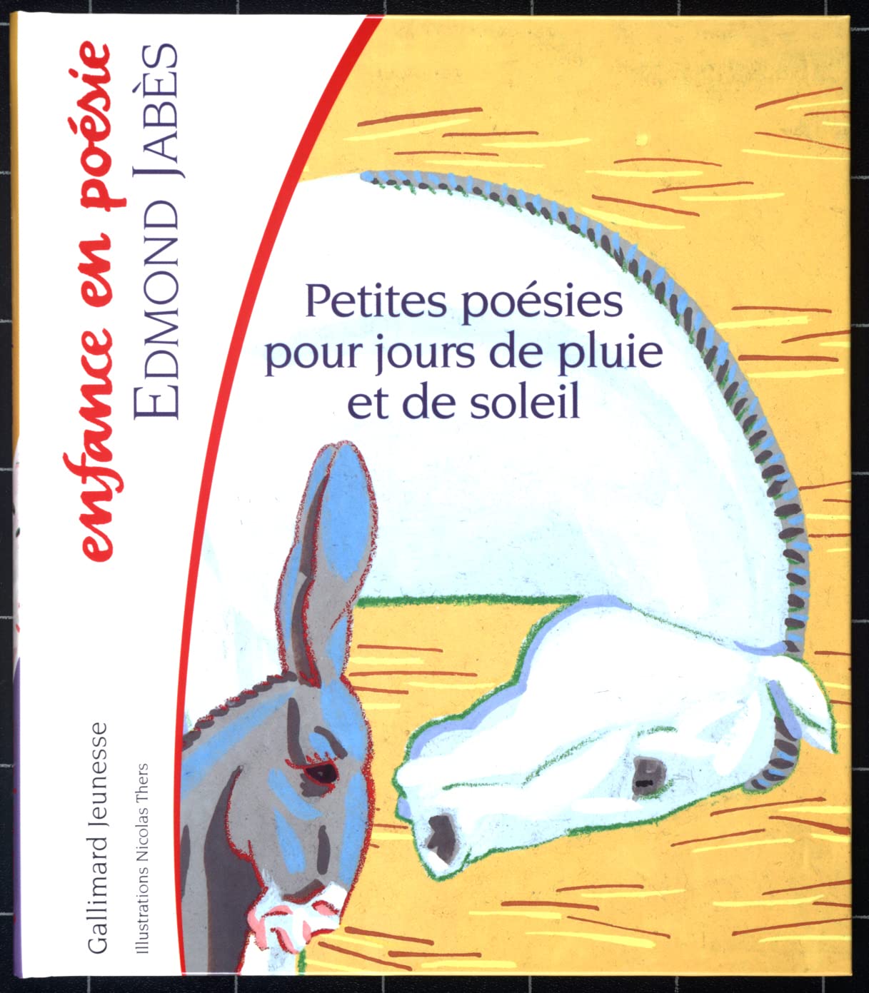 Petites poesies pour jours de pluie et de soleil Contemporary literature