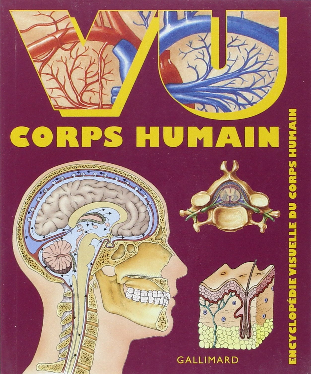 Vu corps humain: Encyclopédie visuelle du corps humain Reference Books