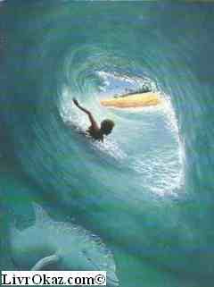 L'Homme des vagues Contemporary literature