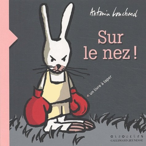 Sur le nez : Un livre a taper book