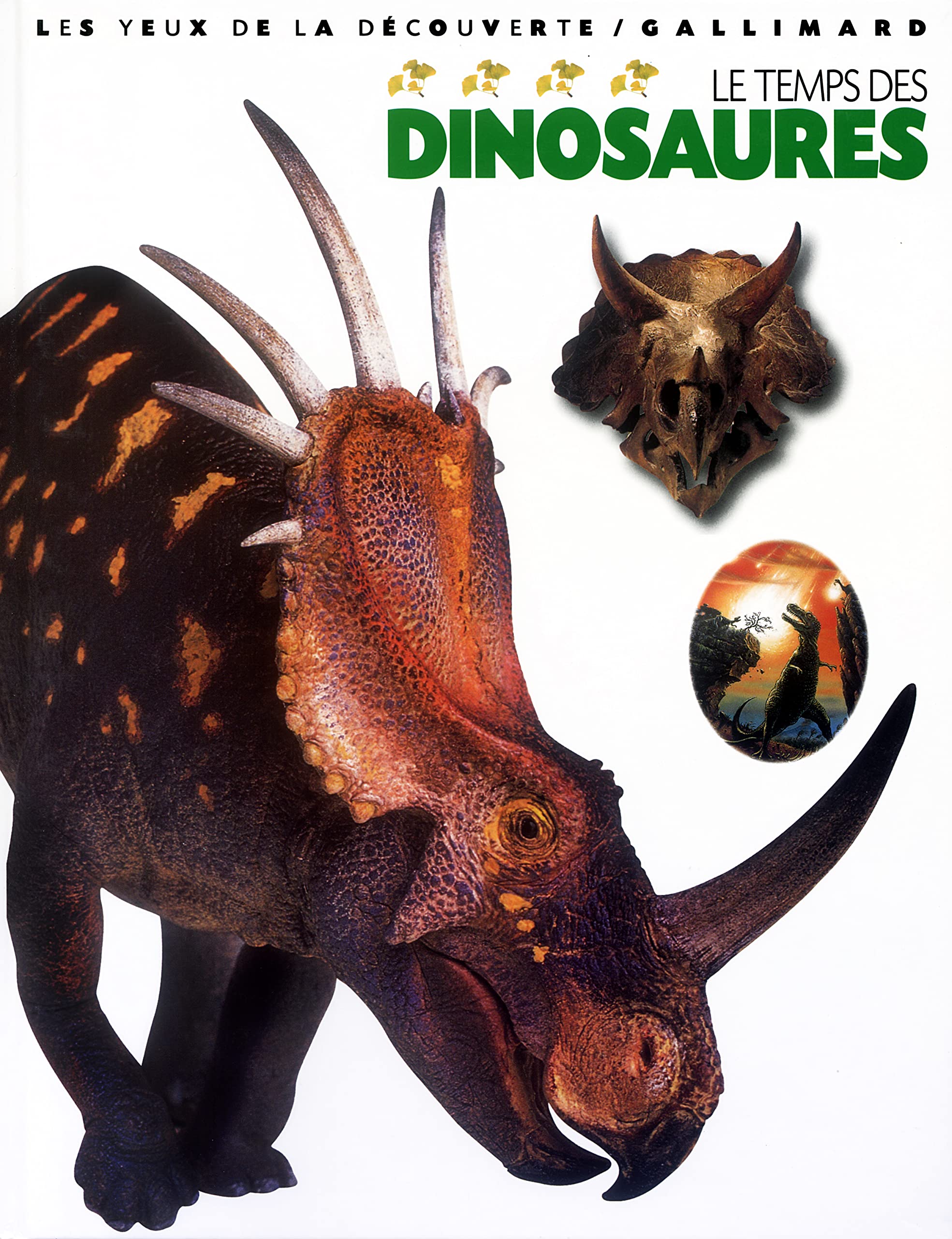 Le temps des dinosaures Children's books