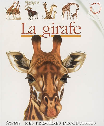 Product Image: La girafe