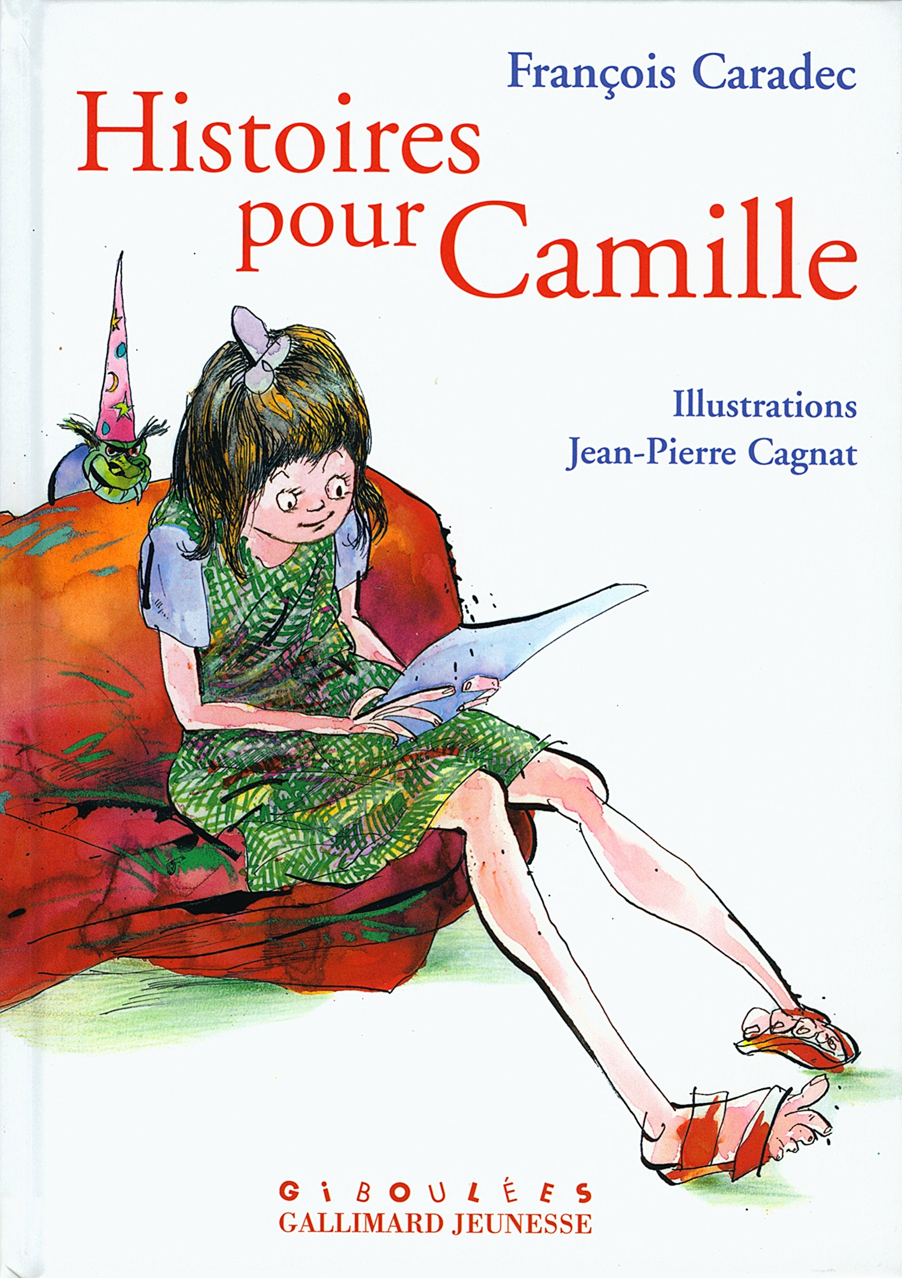 HISTOIRES POUR CAMILLE book