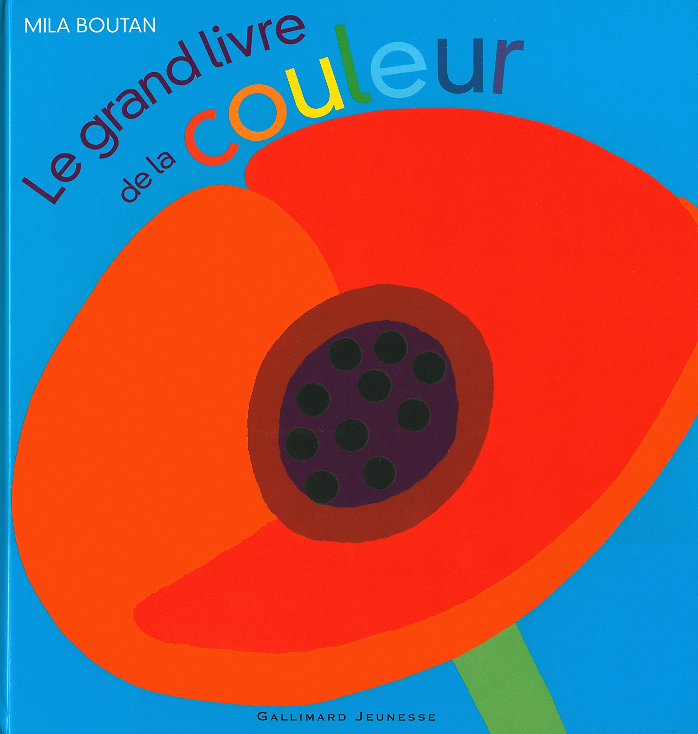 Le grand livre de la couleur Children's books