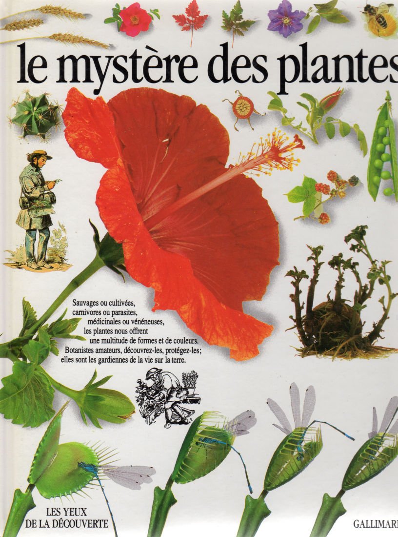 Le mystère des plantes book