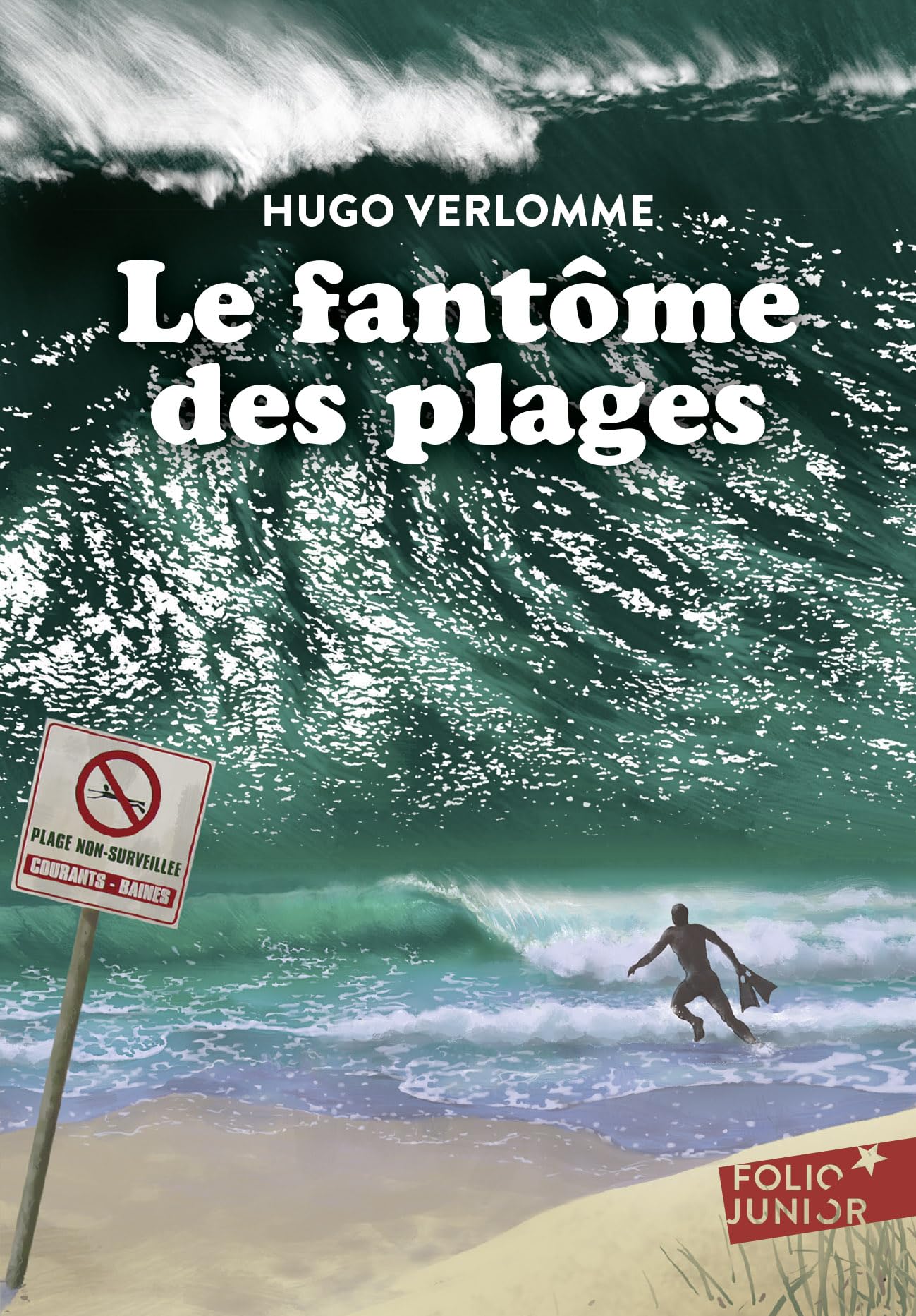Le fantôme des plages book