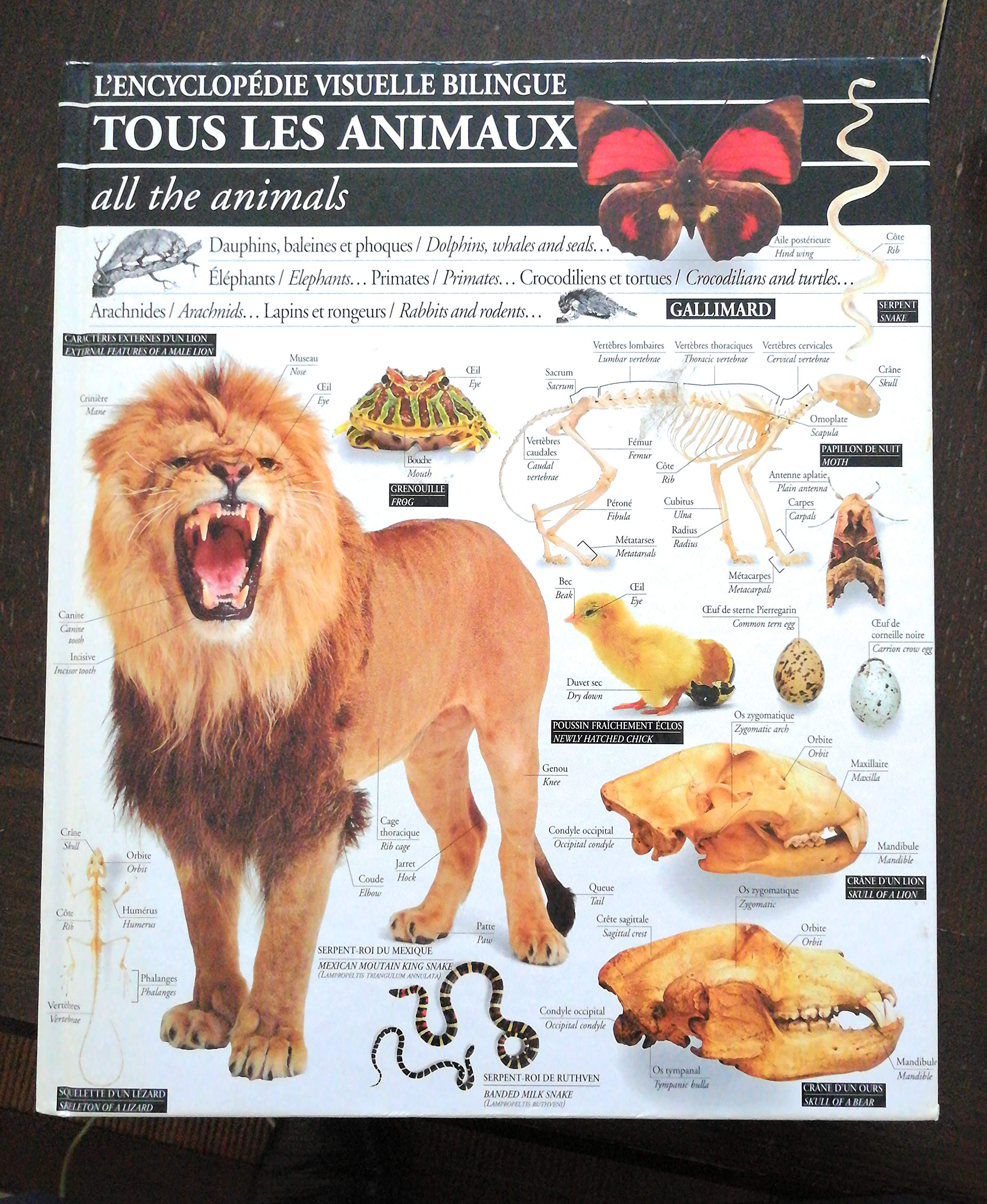 Tous les animaux 102097 (Ency Visue Bili) Books